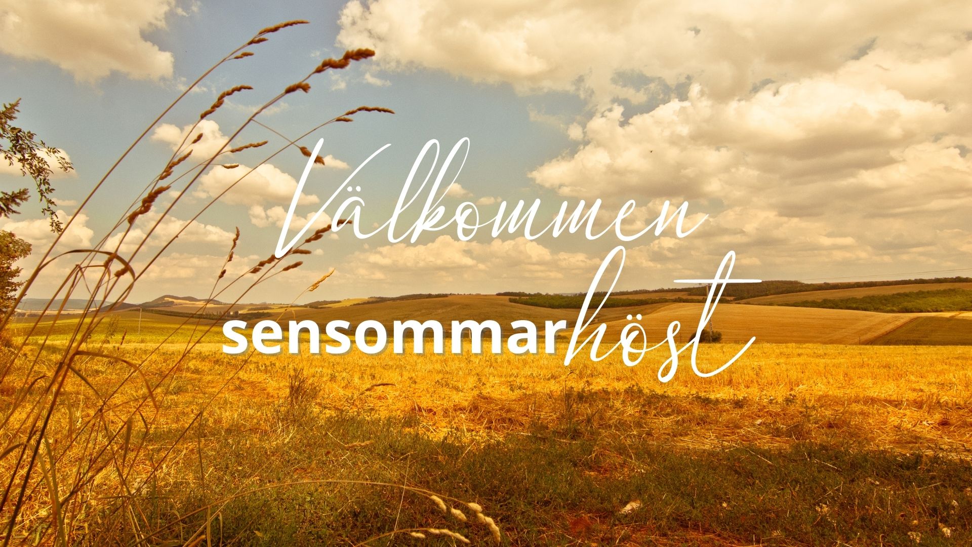 sensommarhost