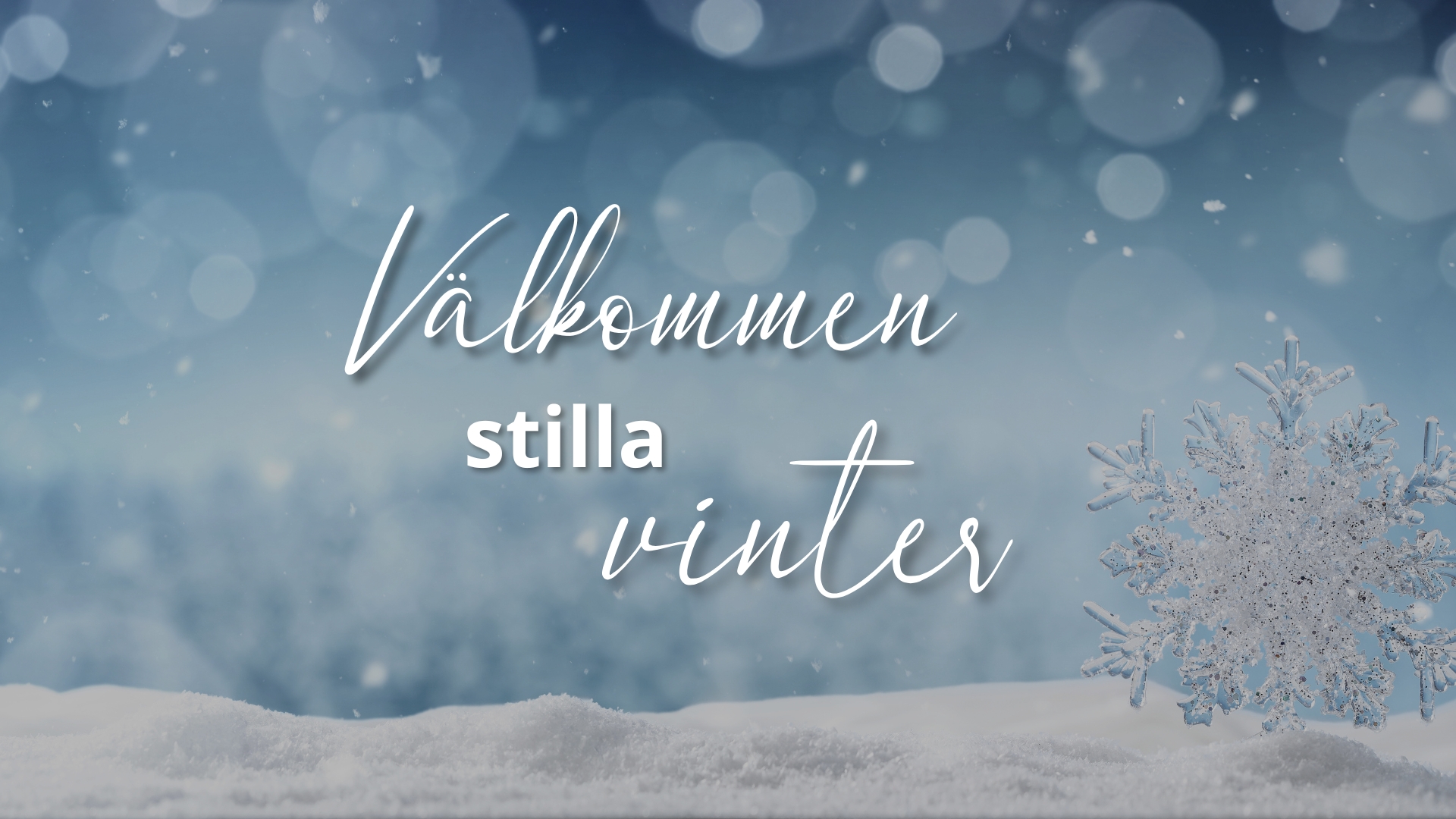 vinter_2024