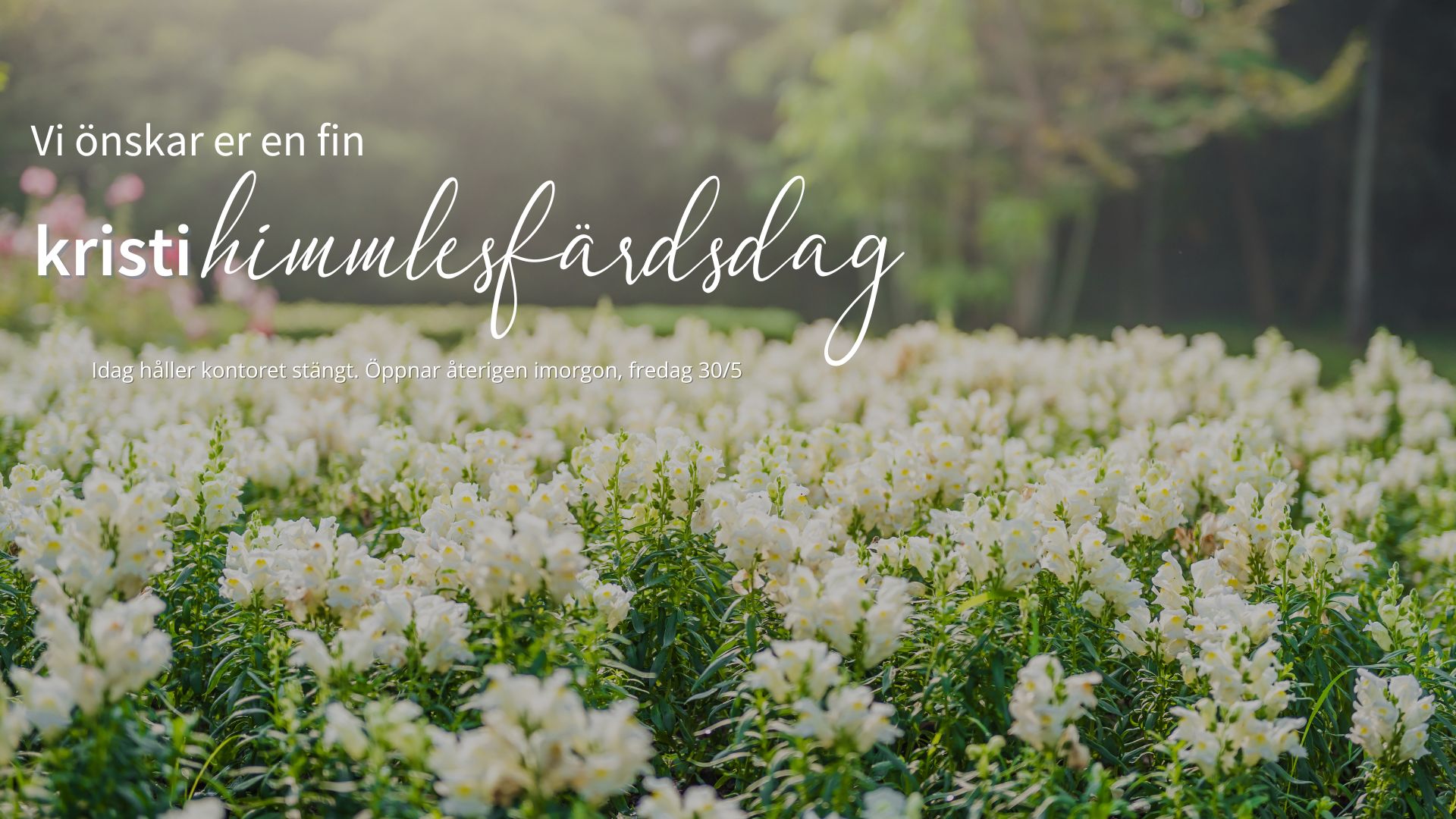 kristihimmelsfards_2025