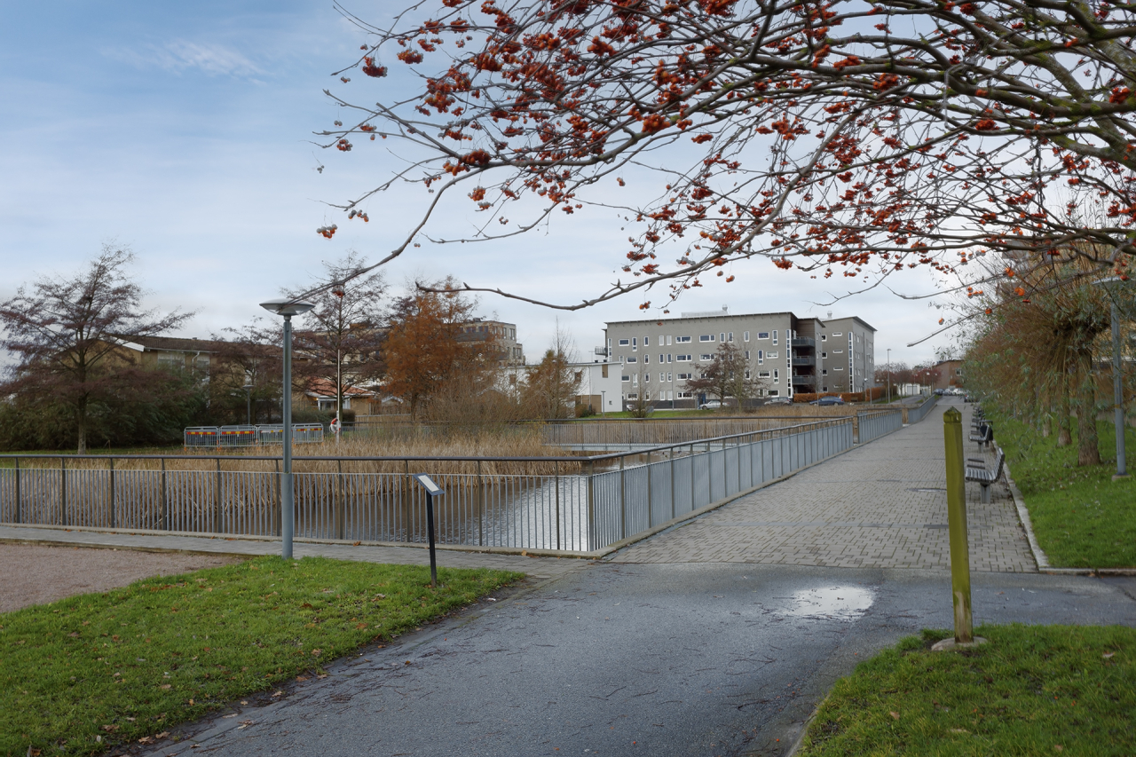 Grönska och vatten som närmsta granne till huset; här lockas du ut på promenad