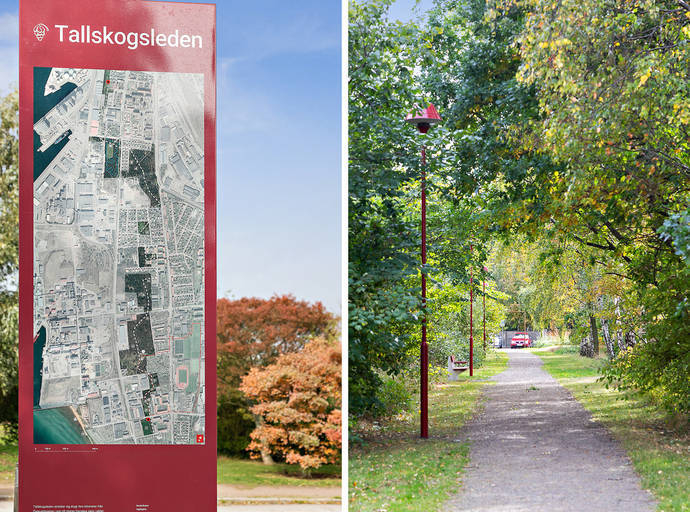 Tallskogsleden utanför dörren Tallskogsleden utanför dörren