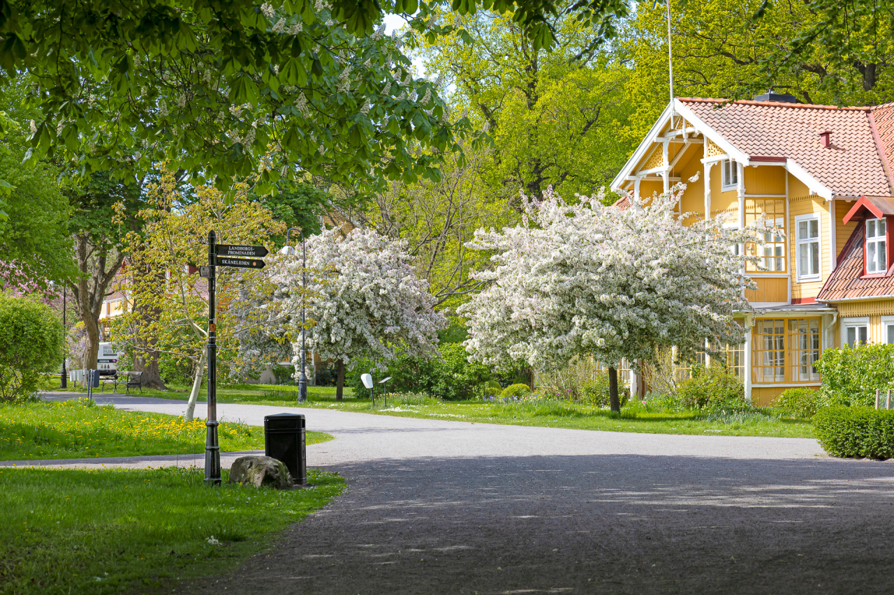 Områdesbild