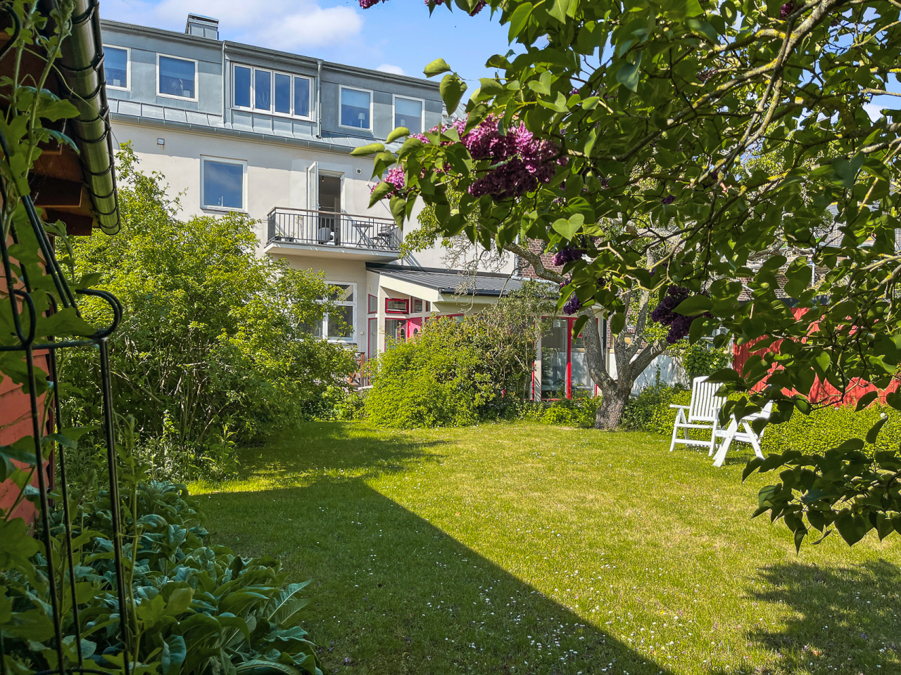 Gemensam trädgård Gemensam trädgård