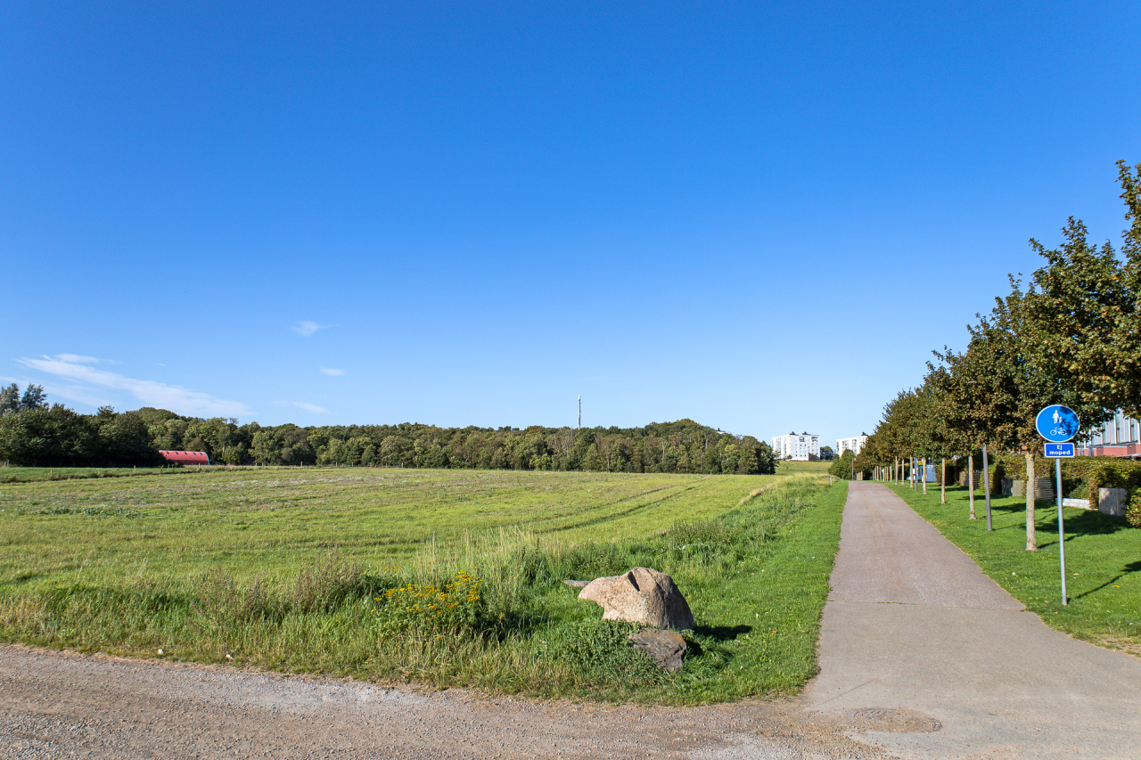 Raus har härliga gångstråk med grönska och djurliv