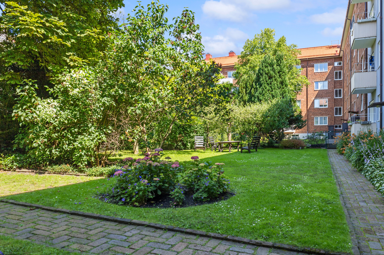 Fin innergård Fin innergård